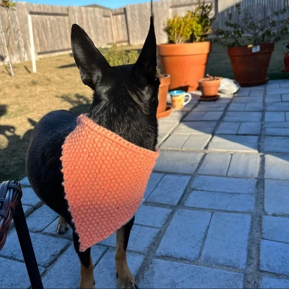 Dog Bandana Hand Knit in USA Western Dog Outfit Tie Scarf - Picture 3 of 6